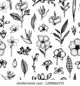 Vector seamless pattern of tropical flowers isolated on white background. Hand drawn floral background. Floral graphic black and white repeating ornament. Tropic design elements. Line shading style