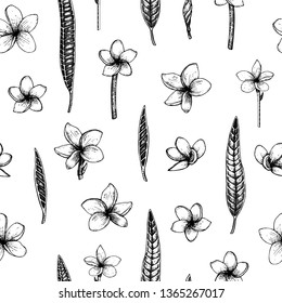 Vector seamless pattern with tropical flowers isolated on white background. Hand drawn floral background with plumeria. Floral graphic black and white repeating ornament. Tropic design elements.
