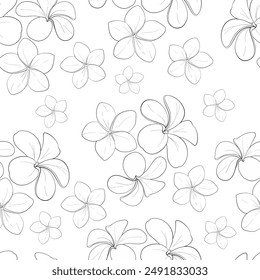 Vector seamless pattern of tropical flowers frangipania. Plumeria flowers background. Black circuit silhouette.