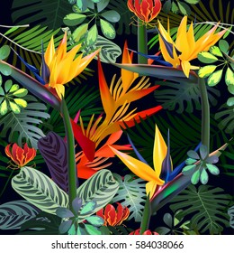  Vector seamless pattern  of tropical  flowers, leaves, vines:  Strelitzia, Plumeria, South America, Central Africa, Southeast Asia and Australia
Monsoon forests, Mangroves.For textiles