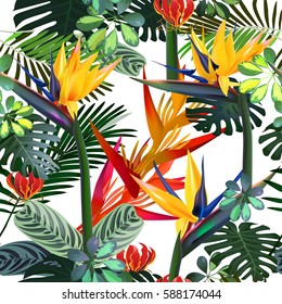  Vector seamless pattern  of tropical  flowers, leaves:  Strelitzia, Plumeria, South America, Central Africa, Southeast Asia and Australia
Monsoon forests, Mangroves.For textiles. Hawaiian style