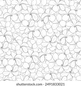 Vector seamless pattern of tropical frangipania. Summer exotic hand drawn graphic. Plumeria flowers background. Black circuit silhouette.