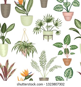 Vector seamless pattern of tropical houseplants in pots isolated on white background. Realistic strelitzia, monstera, alocasia, dieffenbachia, cordyline. Repeat background for home decoration