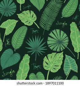 Vector seamless pattern with tropical leaves. Jungle exotic background.