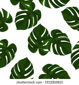 Vector seamless pattern with tropical monstera leaves. Nature illustration wallpaper.