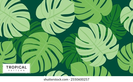 padrão sem emenda do vetor, monstera níveis tropicais, abstrato padrão plano de fundo design