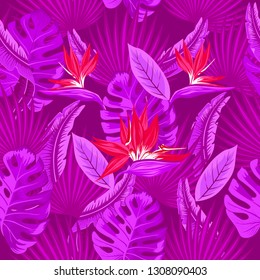 Vector  seamless pattern of tropical neon purple palm leaves, monstera  leaves  and coral flowers of the bird of paradise (Strelitzia) plumeria on a purple  background. Wallpaper trend design.