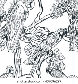 Vector seamless pattern with tropical parrot birds on tree. Hand drawn black and white illustration of jungle. Background with parrots. Design for fashion textile summer print or wrapping.