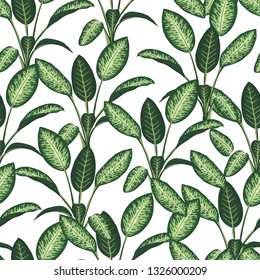 Vector seamless pattern of tropical plants  on white background. Repeat tropical backdrop with dieffenbachia branches. Exotic jungle wallpaper