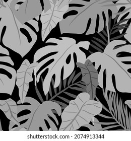 Vector seamless pattern with tropical plants leaves, jungle palm and monstera leaves. Floral vector