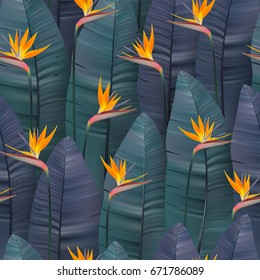 Vector seamless pattern with tropical strelitzia flowers. Blue green leaf and orange flowers.