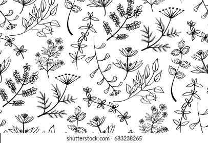 Set Different Wild Flowers Contourblack White Stock Vector (Royalty ...