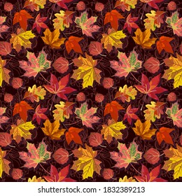 Vector seamless pattern with various autumn colorful leafs