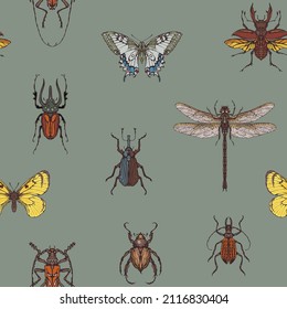 Vector Seamless Pattern Various Handdrawn Insects Stock Vector (Royalty ...