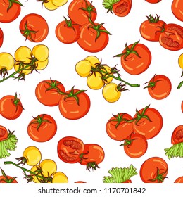 Vector seamless pattern with various tomatoes. Illustration isolated on white background. Hand drawn pattern