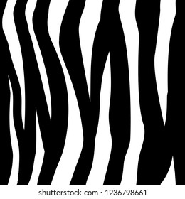 Vector of seamless pattern with vertical black and white stripes like zebra