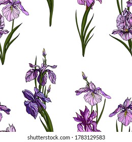 Vector seamless pattern: violet and purple iris flowers, buds and green leaves in boquets. Floral design with hand drawn realistic elements for textile , wallpaper. wrapping paper