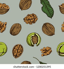Vector seamless pattern of walnuts. Hand drawn vector illustration