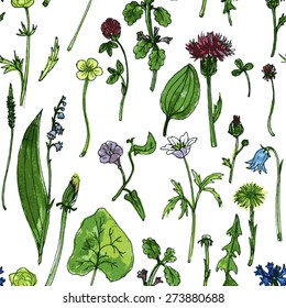 Vector seamless pattern with watercolor drawing herbs and wild flowers