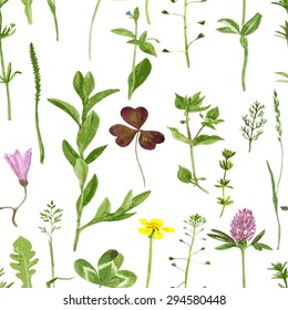 Vector seamless pattern with watercolor drawing wild flowers, herbs and leaves, background with painted  field plants, botanical illustration in vintage style