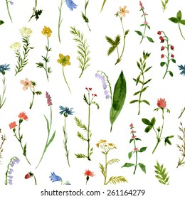 vector seamless pattern with watercolor wild flowers and grass, hand drawn floral background