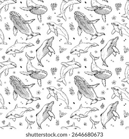 Vector seamless pattern with whales and dolphins. Marine animals in engraving technique, freehand drawing with ink. White background. Can be used for wallpaper, textile, fabric, wrapping paper.