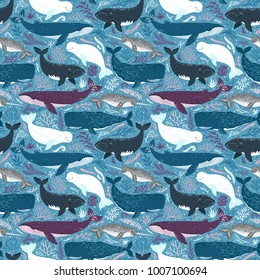 Vector seamless pattern with whales. Repeated texture with marine mammals: narwhal, blue whale, beluga whale, white whale and sperm whale. Blue sea background with animals.