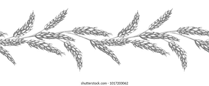 Vector seamless pattern with wheat ears border. Hand drawn vintage illustration with spikelets isolated on white