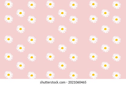 vector seamless pattern white daisy flower in pink background illustration