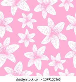 vector seamless pattern white flower doodle hand drawing style on pink background
