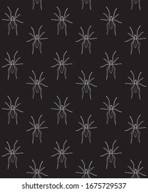 Vector seamless pattern of white hand drawn doodle sketch spider isolated on black background