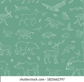 Vector seamless pattern of white hand drawn doodle sketch wild forest animals isolated on mint background