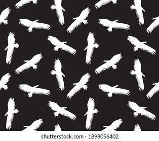 Vector seamless pattern of white hand drawn flying griffon vulture bird silhouette isolated on black background