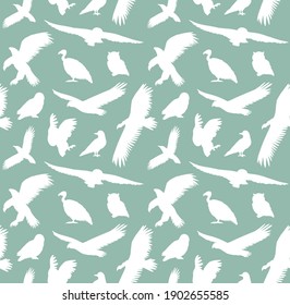 Vector seamless pattern of white hand drawn wild predator birds silhouette isolated on mint green background