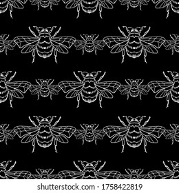 Vector seamless pattern with white honey bee on a black background. Bumblebee, beehive. For the design of labels, products, beekeeping products, honey, wallpaper, wrapping paper, fabric.
