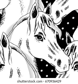 Vector seamless pattern with white horses 4