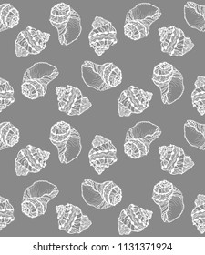 Vector seamless pattern from white seashell on gray background. Hand drawn sketches mollusk sea shells.