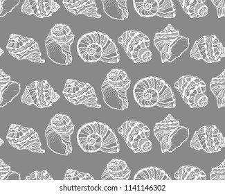 Vector seamless pattern from white seashell on gray background. Hand drawn sketches mollusk sea shells.