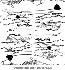 Vector seamless pattern with wild flowers, herbs and grasses.Thin delicate lines silhouettes of different plants - lavender, chicory, yarrow, dill, queen anne lace. Black florals on white background
