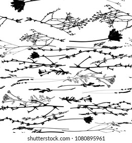 Vector seamless pattern with wild flowers, herbs and grasses.Thin delicate lines silhouettes of different plants - lavender, chicory, yarrow, dill, queen anne lace. Black florals on white background
