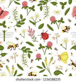 Vector seamless pattern of wild flowers, bee,  bumblebee, dragonfly, ladybug, moth,butterfly. Repeating background with meadow or field insects, acacia,heather,camomile,buckwheat,clover,melilot