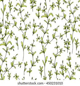 Vector seamless pattern with wild herbs. Small leaves wild plant sketch illustration. Can be used for wallpaper, textile or packaging paper design