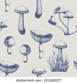 Vector seamless pattern with wild mushrooms. Forest hand drawn illustration.