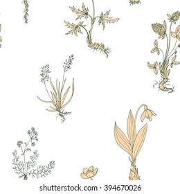 vector seamless pattern with wild plants, hand drawn floral background
