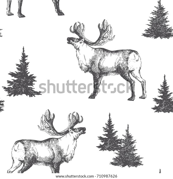 冬の森とシームレスなベクター画像 動物とファースを使った手描きのイラスト 白黒のテクスチャーと木と極彩色 のベクター画像素材 ロイヤリティフリー