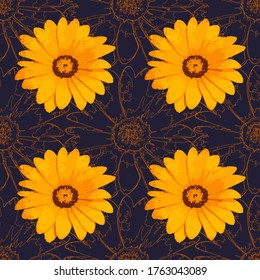 Vector seamless pattern with a yellow gerbera flowers on a dark-blue background