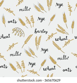Vector seamless pattern.Illustration of yellow ripes ears of cereals with inking and lettering name in English 