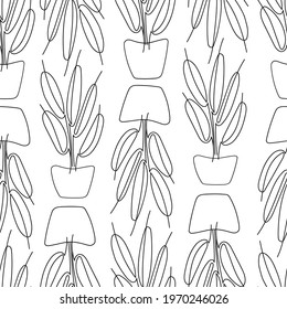 Vector seamless patterns with potted plants in line art style. Black lines on a transparent background