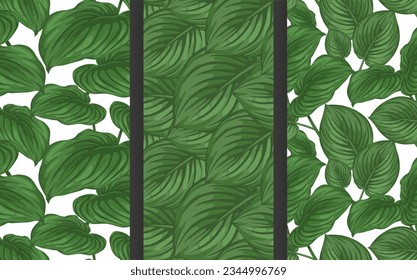 Vector seamless patterns set of many big tropical leaves. Exotic plant bush. Trendy botanical print. Dark green floral background. Elements for summer banner, packaging layout design, textile swatch