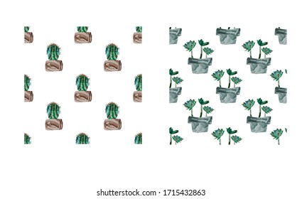 vector seamless patterns with succulents and cactus  in a pot.Hand drawing. Painted. marble texture.design concept for invitations, wedding typography, floristry, textiles